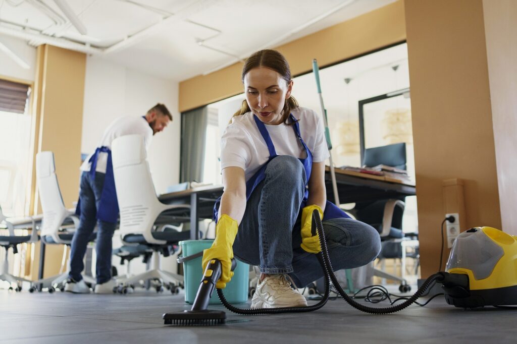 Professional Cleaning Service